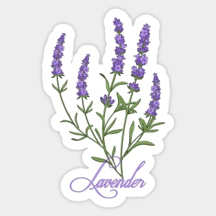 Lavender Summer 2020 Violet Flowers Vintage  t-shirt Sticker